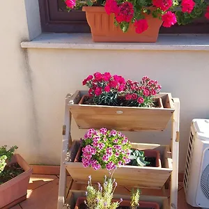 Barbara , Trapani Italie